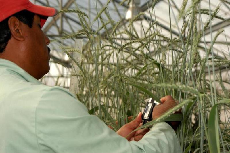 La tecnología nuclear y sus aplicaciones en agricultura