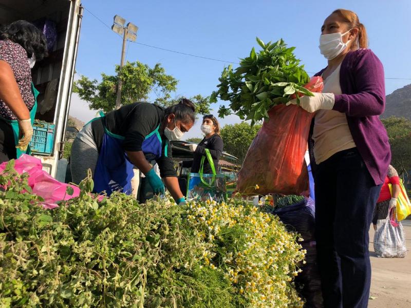 “La Tierra Prometida es el lugar ideal para comerciantes minoristas de La Parada”