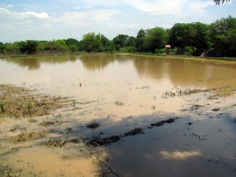 “LAMBAYEQUE ESTÁ CONDENADA A INUNDARSE POR FENÓMENO EL NIÑO”