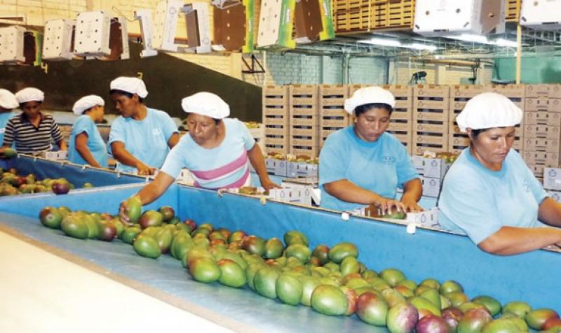 LAMBAYEQUE: EXPORTACIONES SUMARON US$ 473.7 MILLONES EN EL 2015