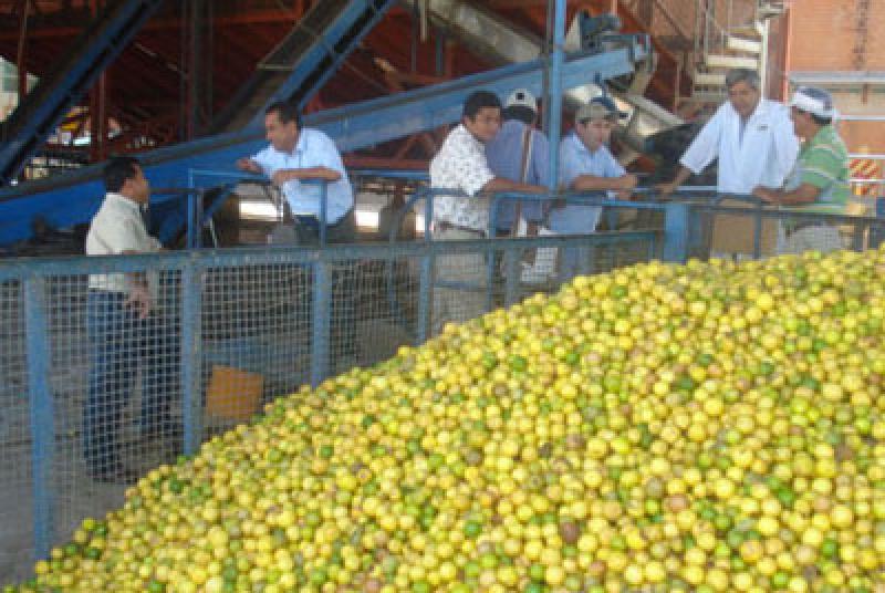 LAMBAYEQUE LIDERA EXPORTACIONES DE JUGO DE MARACUYÁ