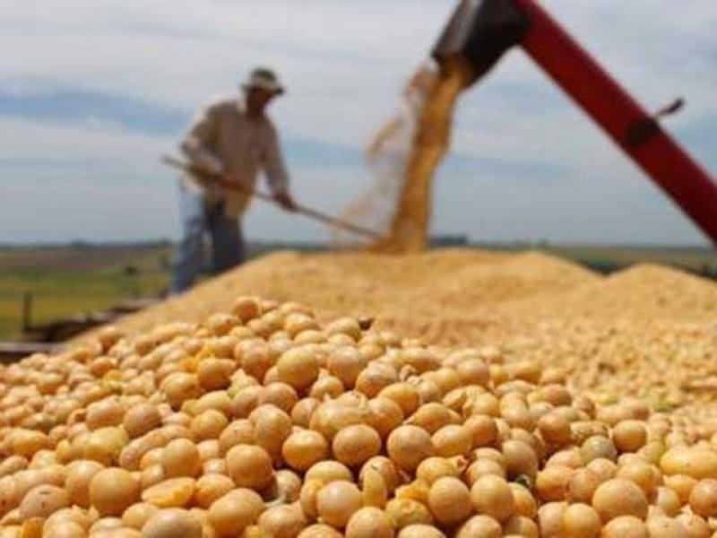 LAS AGROEXPORTACIONES SE MANTENDRÍAN ESTE AÑO