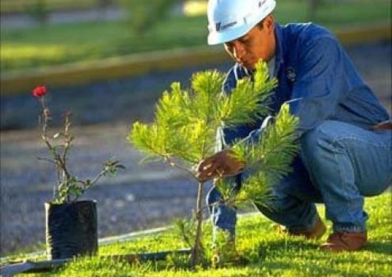 LÍNEA DE CRÉDITO AMBIENTAL MEJORA PRODUCTIVIDAD Y RENTABILIDAD