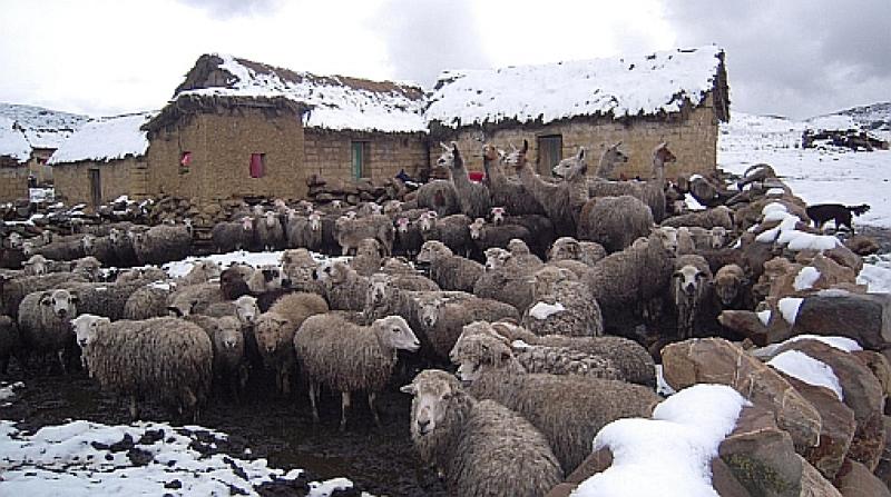 LLOVERÁ Y NEVARÁ EN LA SIERRA SUR Y CENTRAL