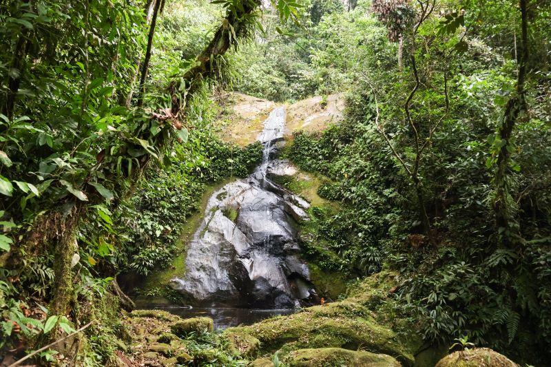 Madre de Díos: más de 300 concesionarios y agricultores impulsan proyecto para reducir deforestación de los bosques