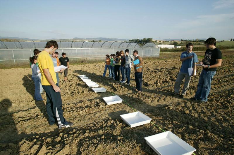 Mañana se realiza la VIII Reunión Anual de Investigación de la Facultad de Agronomía de la UNALM