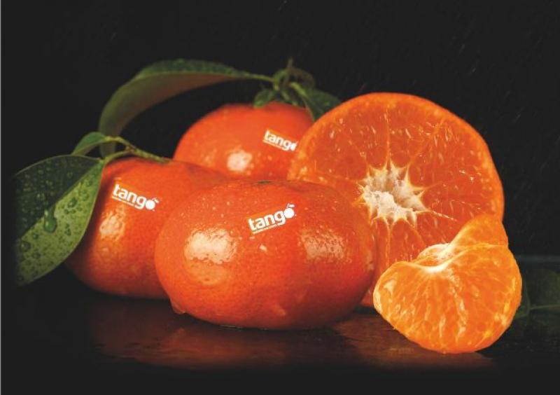 MANDARINA TANGO SE EXPANDE POR EL MUNDO EN TIEMPO RÉCORD