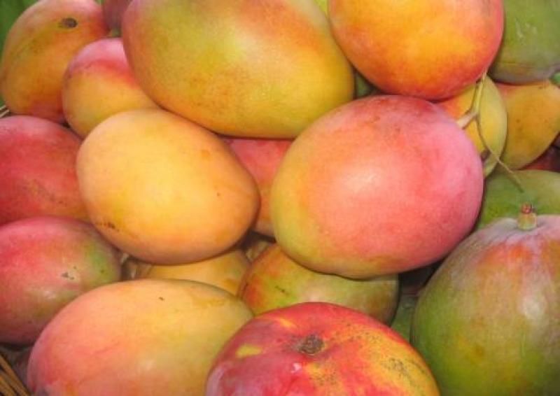 MANGO Y AGUAJE FUERON LAS FRUTAS QUE MÁS SUBIERON DE PRECIO EN 2014