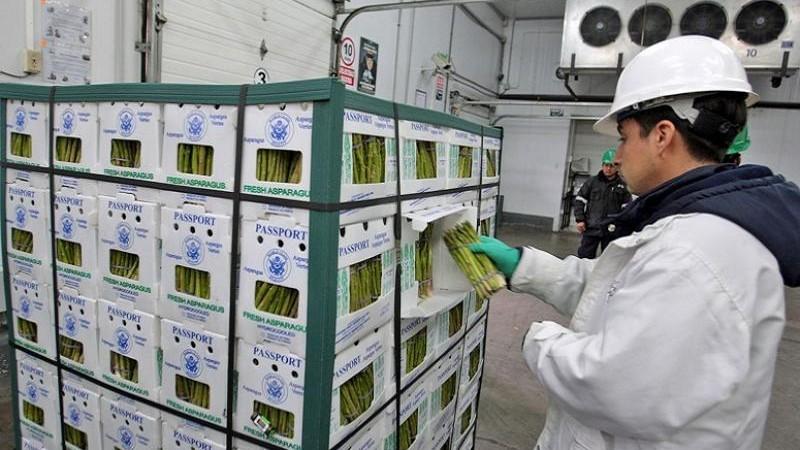 Mangos y espárragos frescos concentraron el 58.66% del volumen total exportado vía aérea