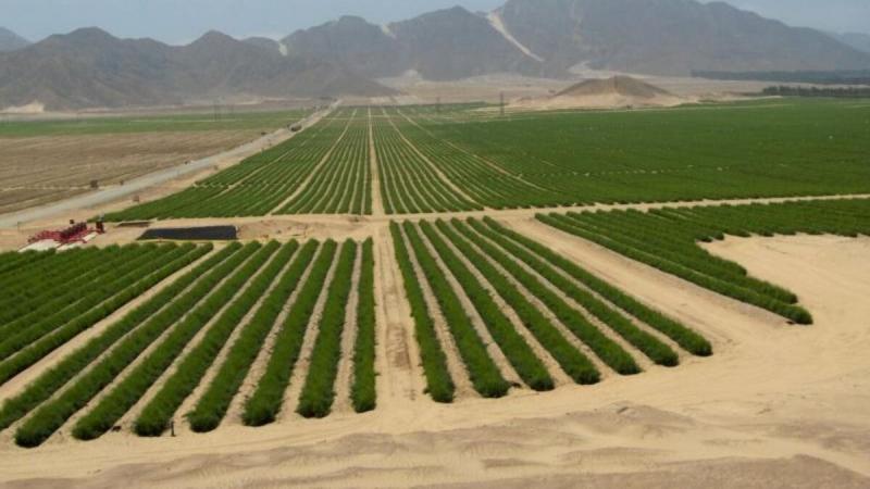 Manifiesto por el Agro Peruano