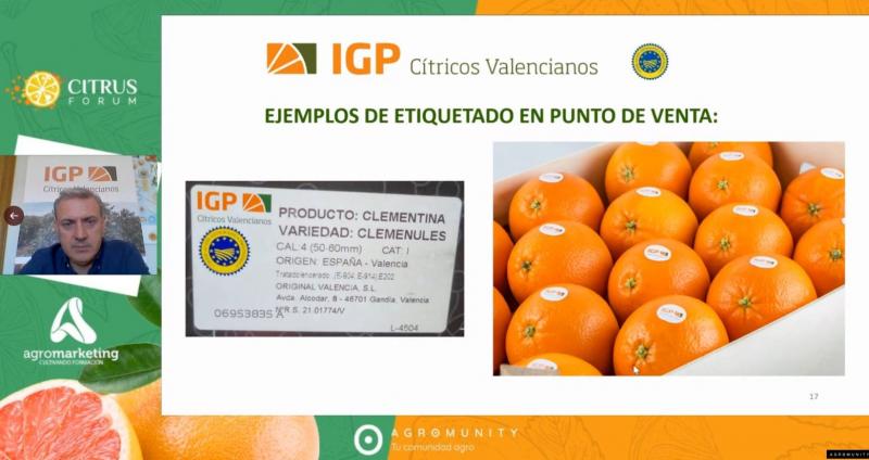 Marca de calidad IGP “Cítricos Valencianos” participa exitosamente en CITRUS FORUM