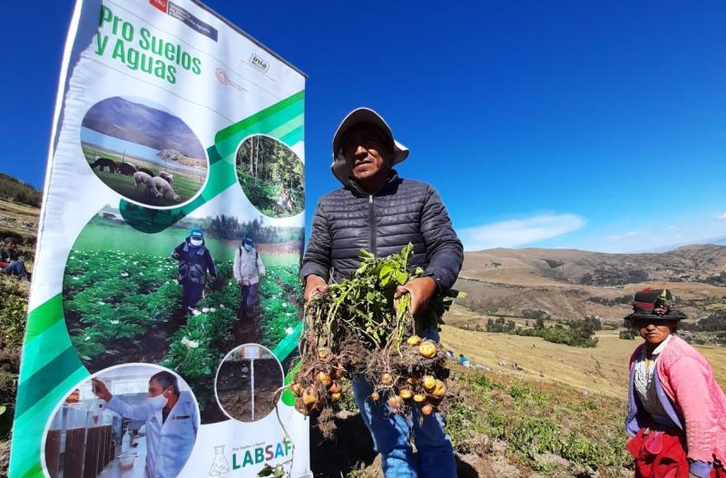 Más de 13 mil agricultores mejoran calidad de suelos agrarios con tecnología de manejo agronómico