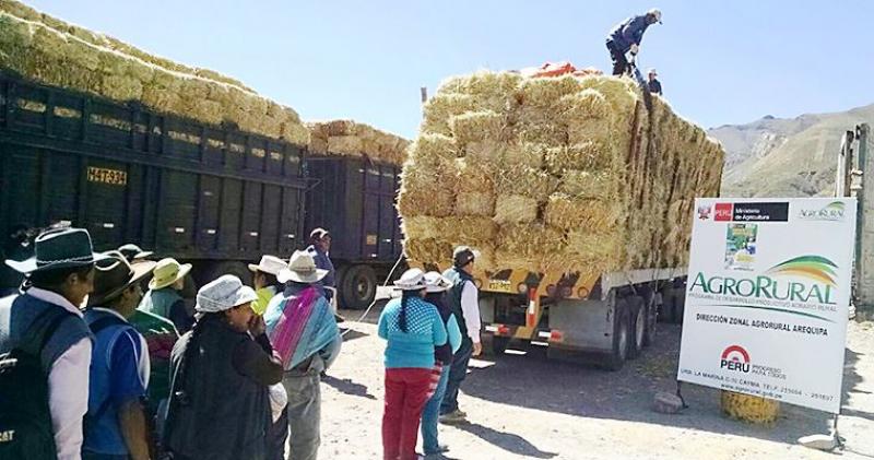 Más de 367 mil cabezas de ganado fueron atendidas por heladas