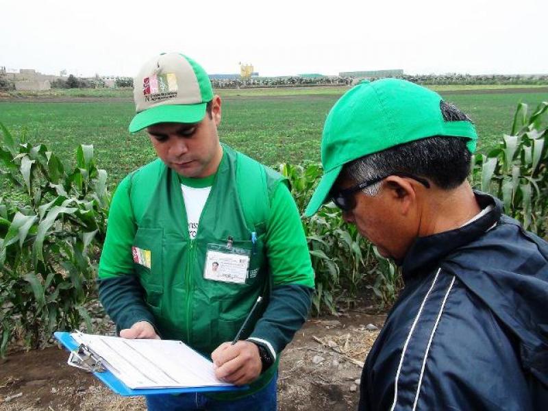 MÁS DE 80 MIL PRODUCTORES AGROPECUARIOS FUERON CENSADOS