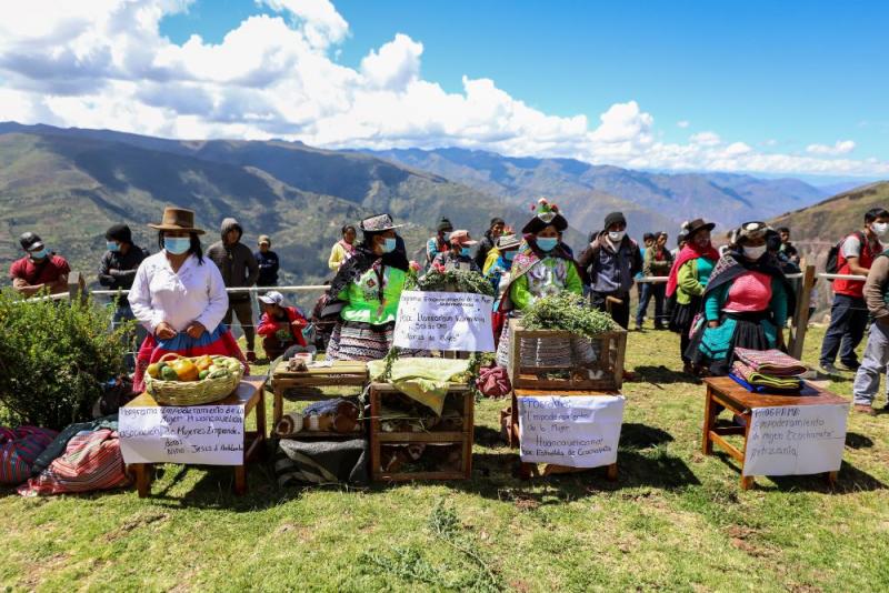 Más de 90 mil campesinos se capacitan para mejorar su calidad productiva a través de Tambos del Midis  