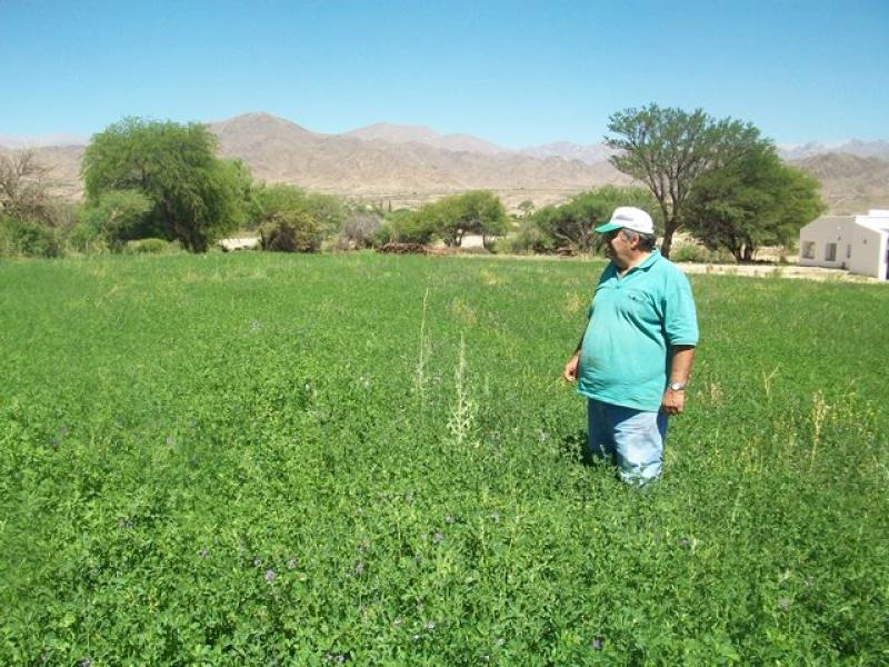 MÁS DEL 40% DE LAS TIERRAS DE PASTOREO ESTÁN EN PROCESO DE DETERIORO