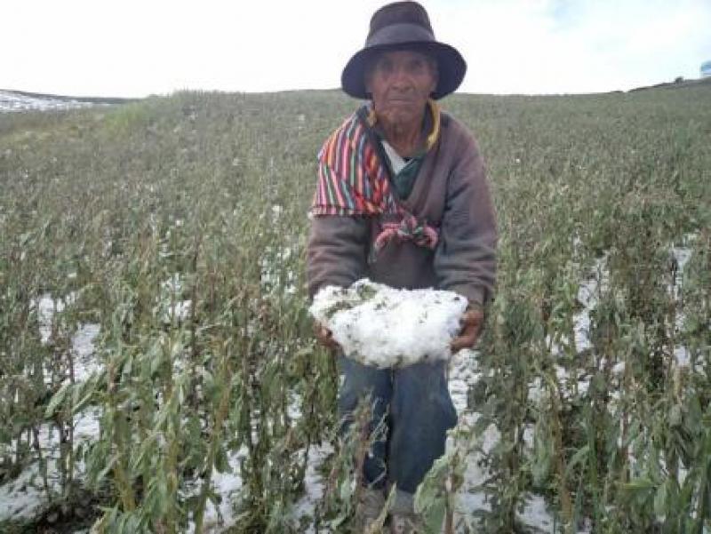 Más del 50% de pérdidas en el sector agrícola es consecuencia de eventos climáticos extremos