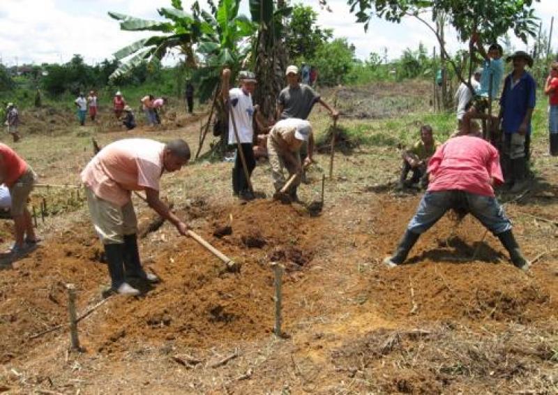 MEJORAN CULTIVOS DE PEQUEÑOS PRODUCTORES AGRÍCOLAS EN CAJAMARCA