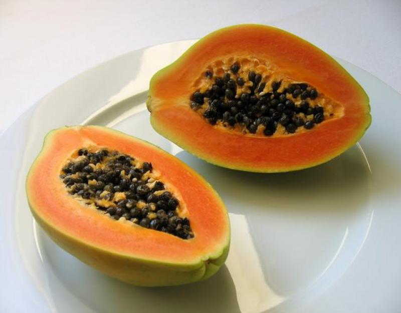 MEJORARÍAN PRODUCCIÓN DE PAPAYA TRANSGÉNICA