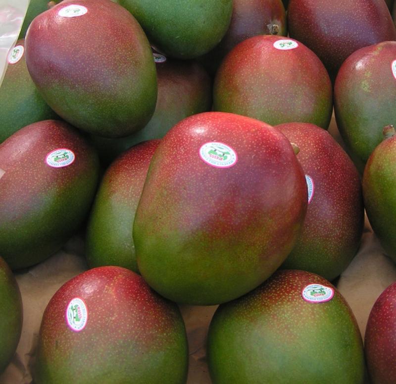 MENSAJE ACERCA DEL MANGO LLEGÓ A 840 MILLLONES DE CONSUMIDORES