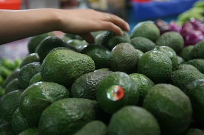 MÉXICO ESPERA AUMENTAR SUS AGROEXPORTACIONES A PAÍSES ÁRABES