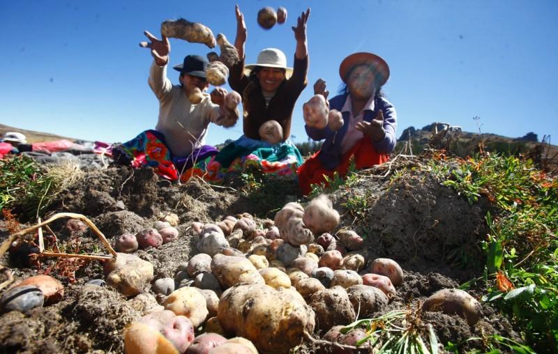 Midagri: En 2020 ingresaron a los principales mercados mayoristas de Lima Metropolitana más de 3.7 millones de toneladas de alimentos, 1.4% más que el año previo