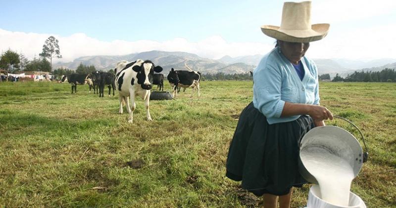 Midagri: en Perú existen más de 450 mil productores de leche