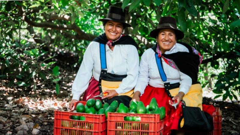 Midagri inicia la convocatoria nacional a las Organizaciones Agrarias conformadas por mujeres para acceder a la subvención de sus emprendimientos agrarios