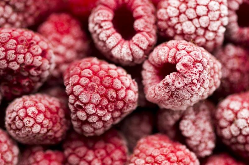 Midagri proyecta escenario comercial favorable para el cultivo de frambuesa