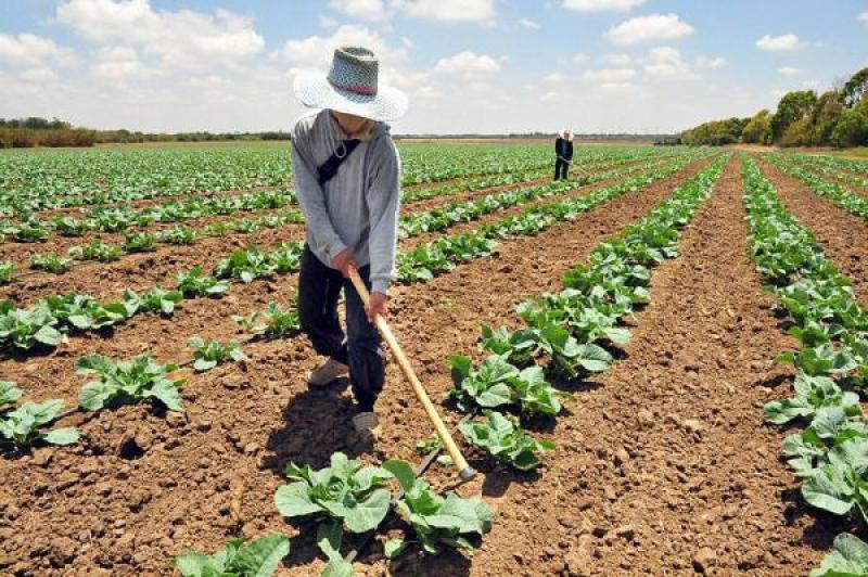 MINAGRI APRUEBA PROGRAMA OPERATIVO 2016 DEL PLAN ESTADÍSTICO AGRARIO