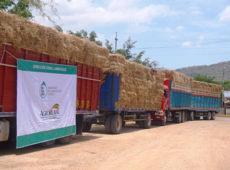 MINAGRI ENTREGÓ 90 TN DE ALIMENTOS PARA ATENDER GANADO 