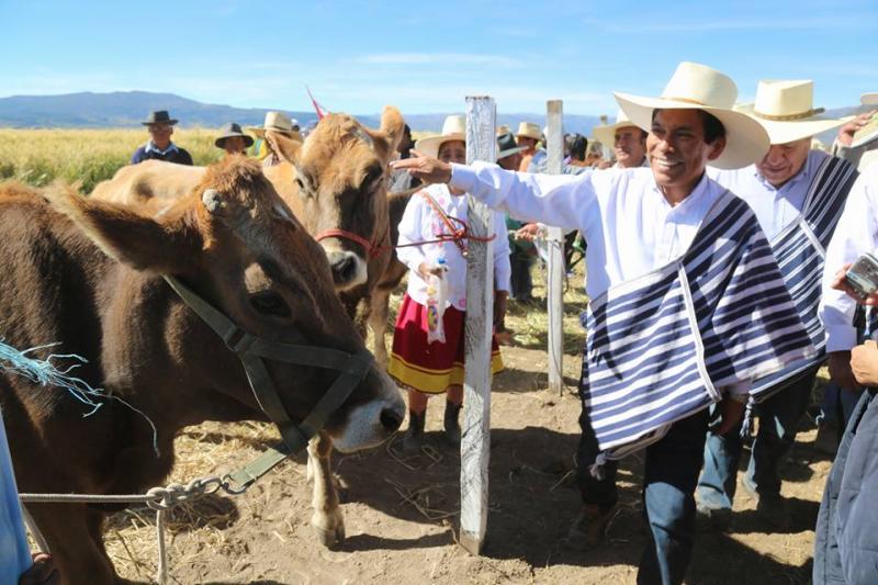 Minagri lanzó Plan Nacional de Desarrollo Ganadero hasta el año 2027