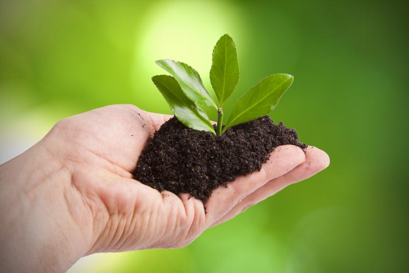 Ministros de Agricultura de las Américas debaten desde hoy compromisos para acelerar el desarrollo