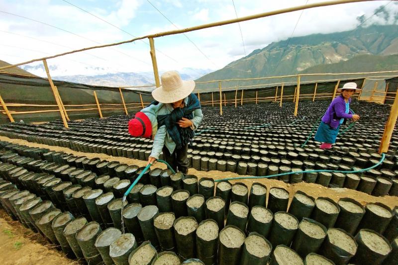 Modelos de gestión hídrica para enfrentar el cambio climático