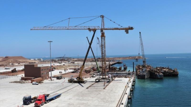 MSC llevará uva desde Pisco hacia Estados Unidos y Europa