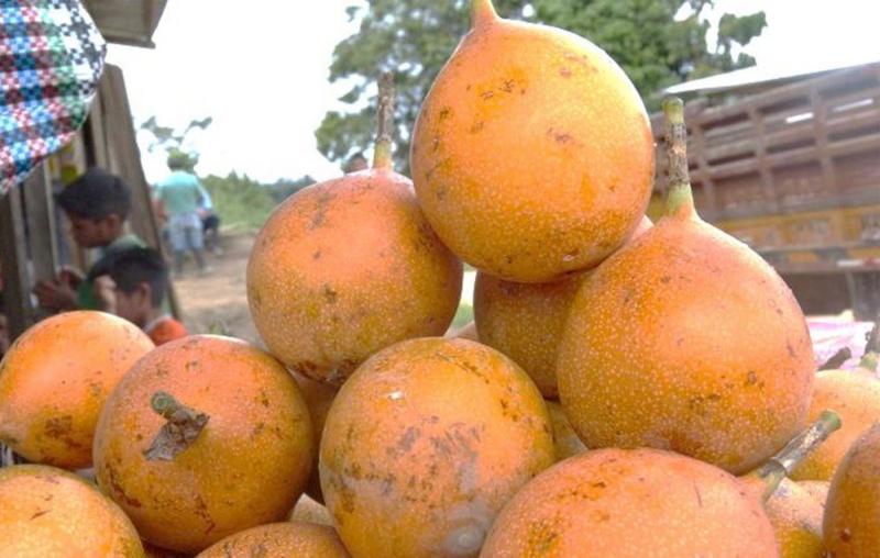 MUNICIPALIDAD DE HUÁNUCO ASIGNA S/.400 MIL PARA PROMOVER GRANADILLA Y OVINO