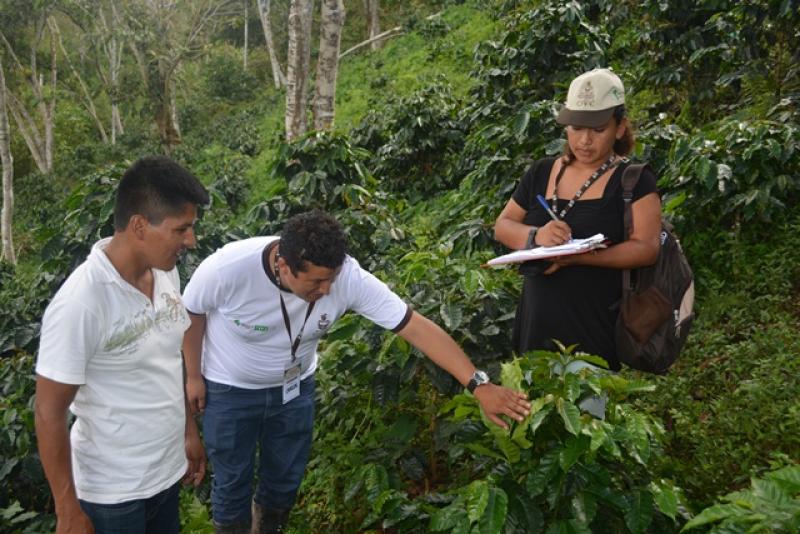 NORMA DE INSPECTORES INTERNOS CONTRIBUIRÁ A MEJORAR LA CALIDAD DE TAZA DEL CAFÉ PERUANO