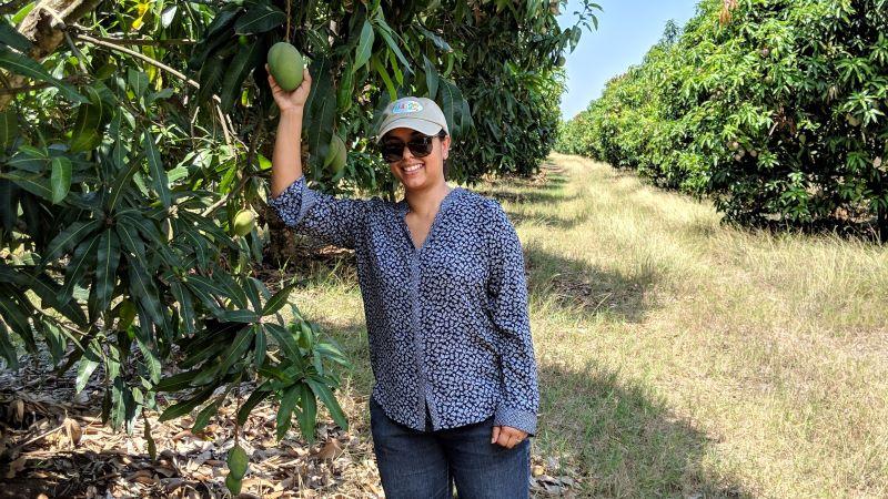 “Nuestra visión es que el mango pase de ser considerado una fruta exótica a ser una fruta cotidiana en los hogares estadounidenses”