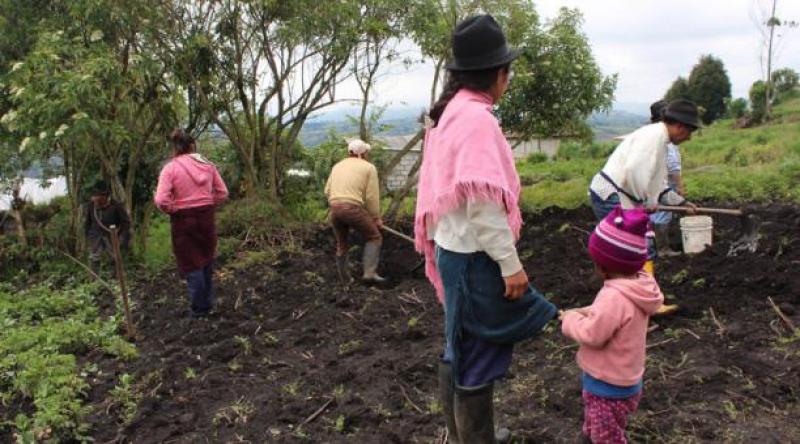 Nueve de cada diez hogares rurales han reducido la cantidad y calidad de sus alimentos durante la pandemia 