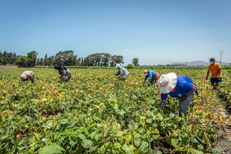 Nuevos motores de crecimiento económico están en zonas rurales