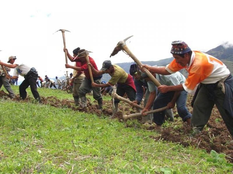 ONG AMERICANA REALIZA PROYECTO PARA AGRICULTURA A PEQUEÑA ESCALA EN PIURA 