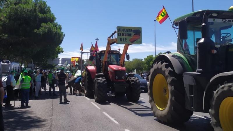 Organizaciones agrícolas convocan una “gran tractorada” en Madrid