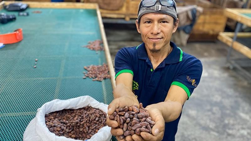 Organizaciones asistidas por Devida se preparan para el Salón de Cacao y Chocolate 2024