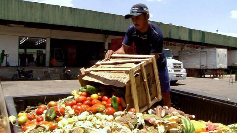 Parlamento Europeo busca reducir el desperdicio alimentario a la mitad