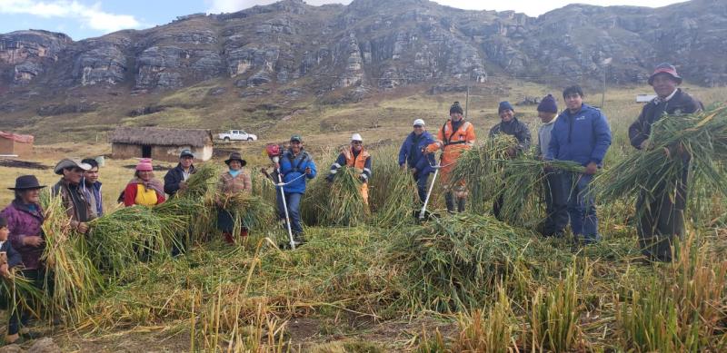 Pasco: productores ganaderos reciben motoguadañas para corte y conservación de forraje