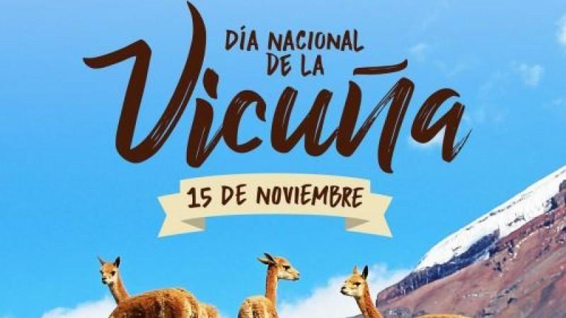 Perú alberga la mayor población de vicuñas a nivel mundial