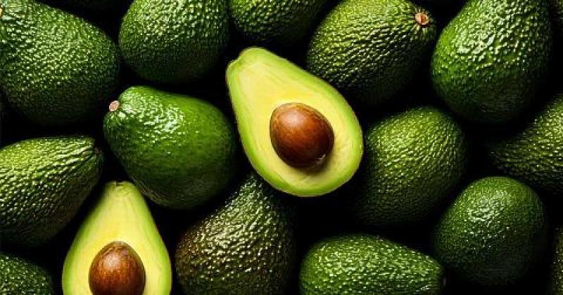 Perú alcanza el 60% de la campaña de exportación de palta Hass