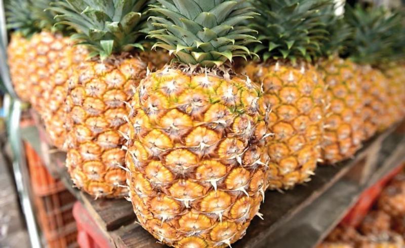 Perú exportó 575 toneladas de piña por US$ 1.95 millones en el primer trimestre de 2023