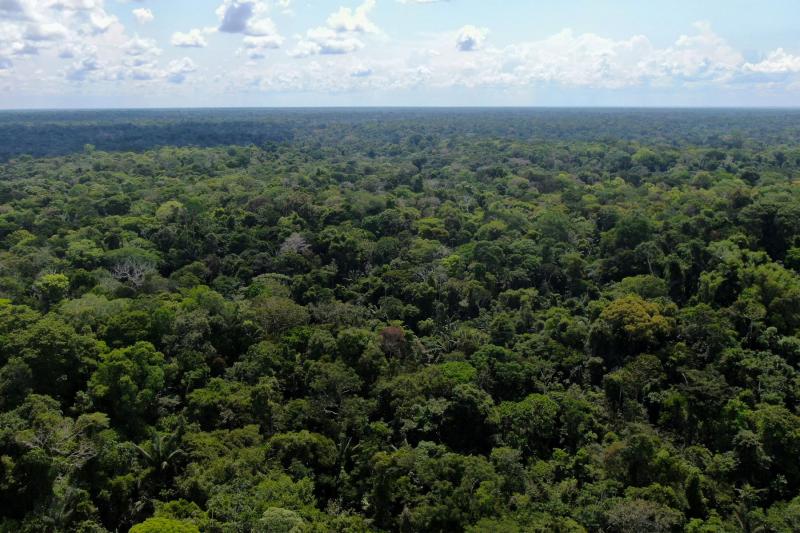 Perú firmó Declaración de Glasgow sobre protección de bosques y uso de la tierra