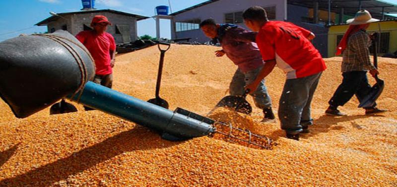 Perú importó productos agropecuarios por más de US$ 2.400 millones en los primeros nueve meses del año